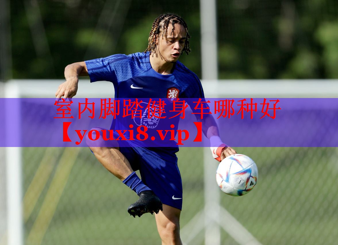 室内脚踏健身车哪种好