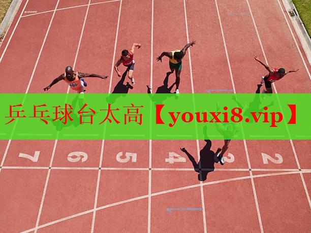 乒乓球台太高