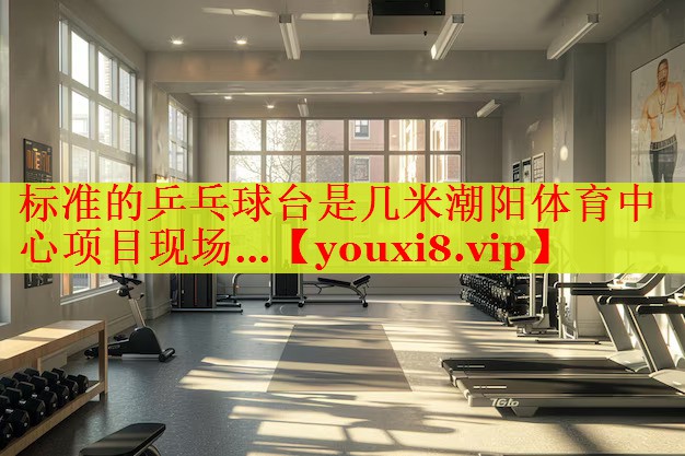 标准的乒乓球台是几米潮阳体育中心项目现场…