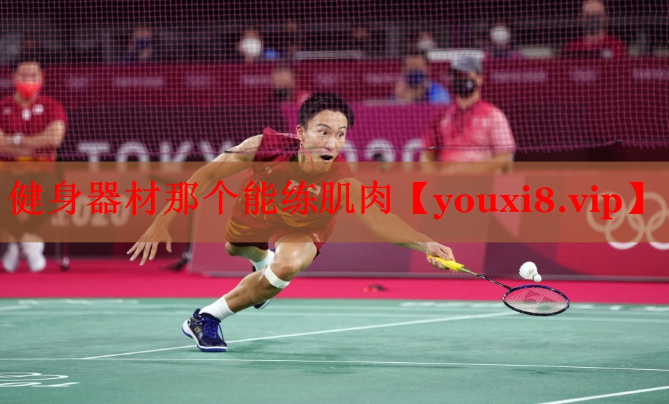 健身器材那个能练肌肉