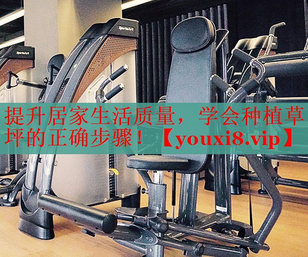 提升居家生活质量，学会种植草坪的正确步骤！
