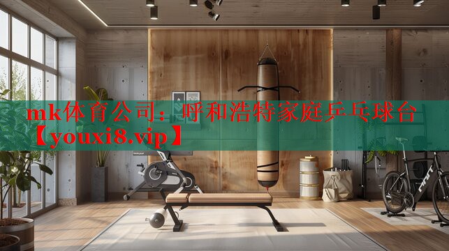 mk体育公司：呼和浩特家庭乒乓球台
