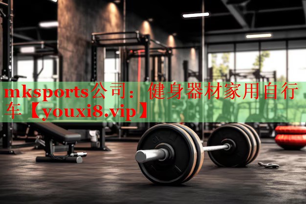 mksports公司：健身器材家用自行车