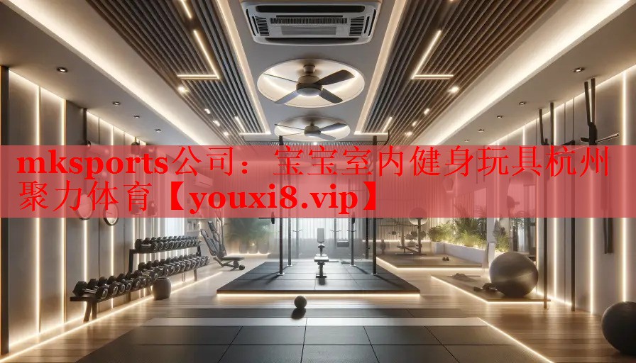 mksports公司：宝宝室内健身玩具杭州聚力体育