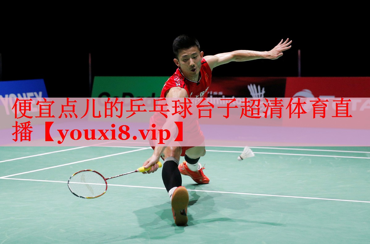 便宜点儿的乒乓球台子超清体育直播