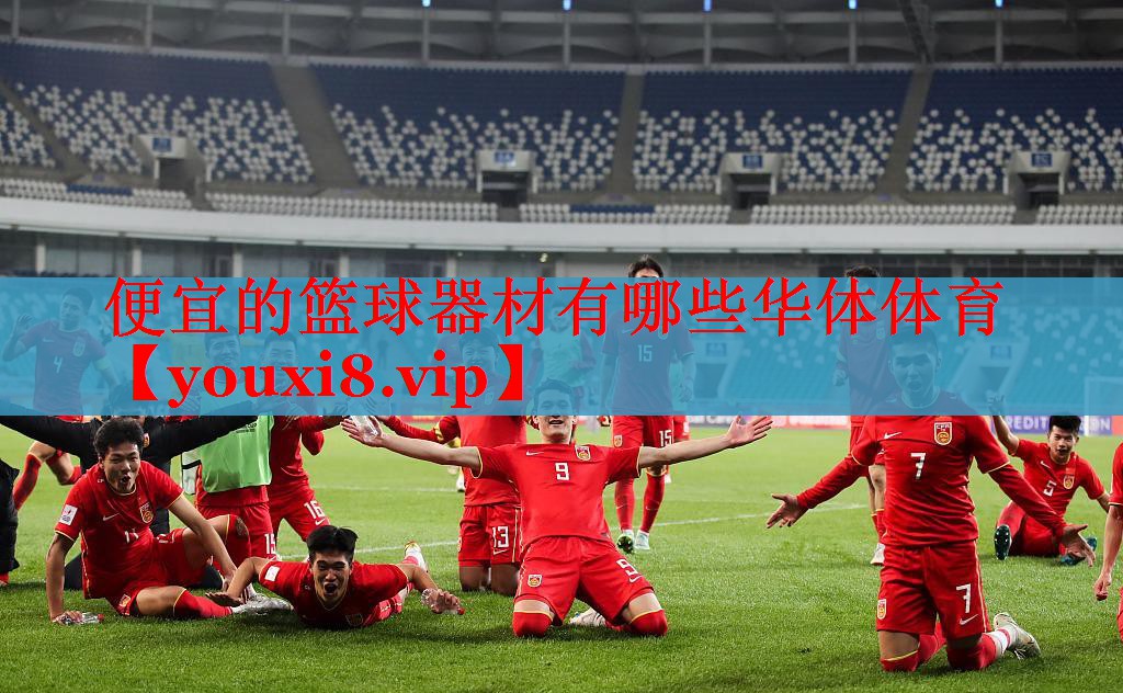 便宜的篮球器材有哪些华体体育