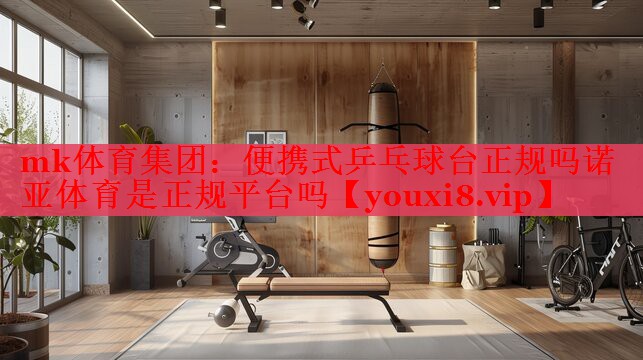 mk体育集团：便携式乒乓球台正规吗诺亚体育是正规平台吗