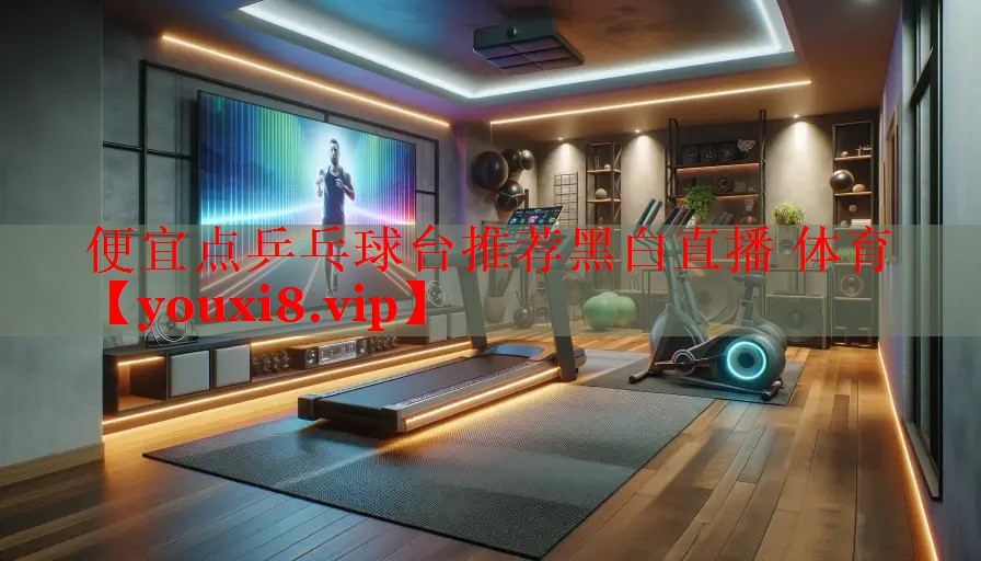 便宜点乒乓球台推荐黑白直播 体育