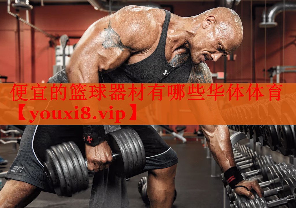 便宜的篮球器材有哪些华体体育