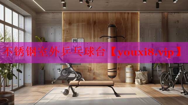 不锈钢室外乒乓球台