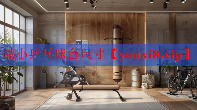 最小乒乓球台尺寸