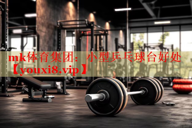 小型乒乓球台好处