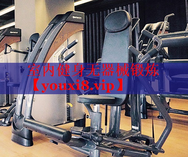 室内健身无器械锻炼