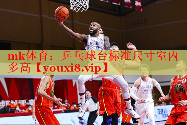 乒乓球台标准尺寸室内多高
