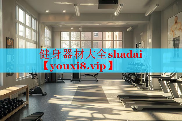 健身器材大全shadai