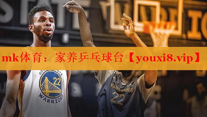 家养乒乓球台