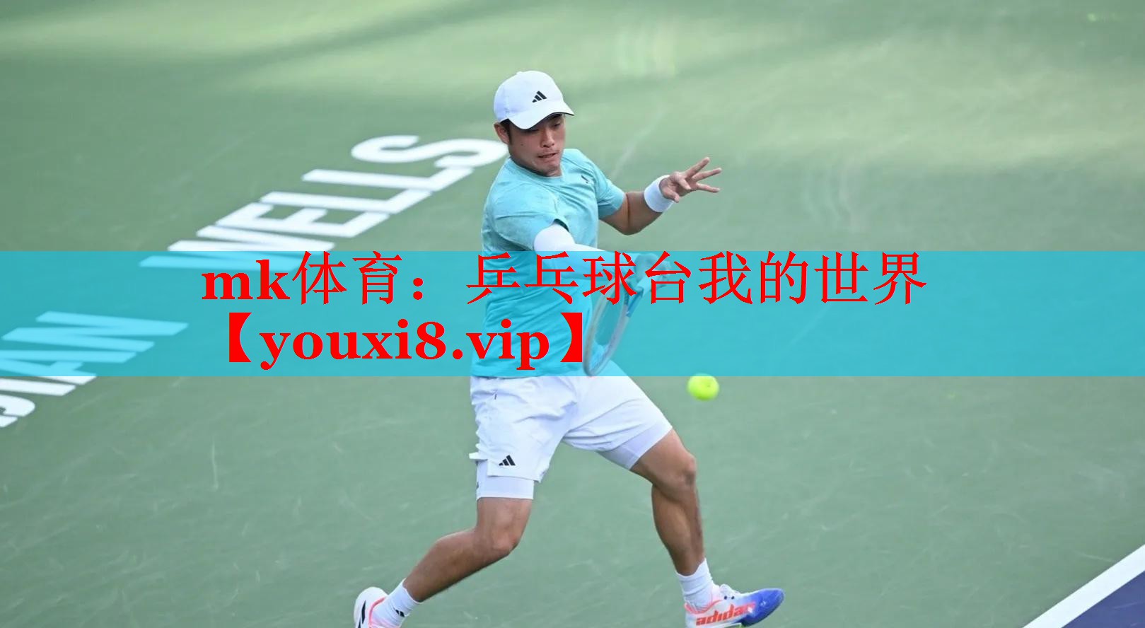 乒乓球台我的世界