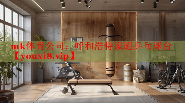 呼和浩特家庭乒乓球台