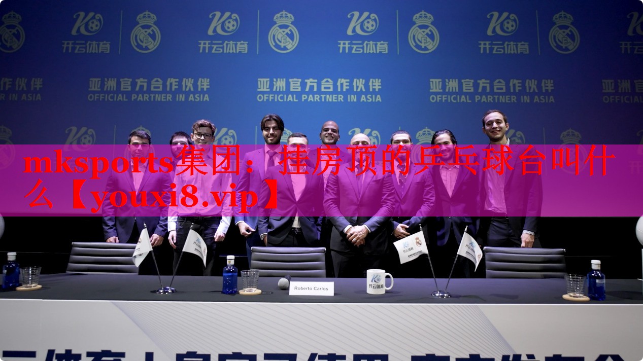 挂房顶的乒乓球台叫什么