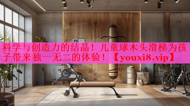 科学与创造力的结晶！儿童球木头滑梯为孩子带来独一无二的体验！