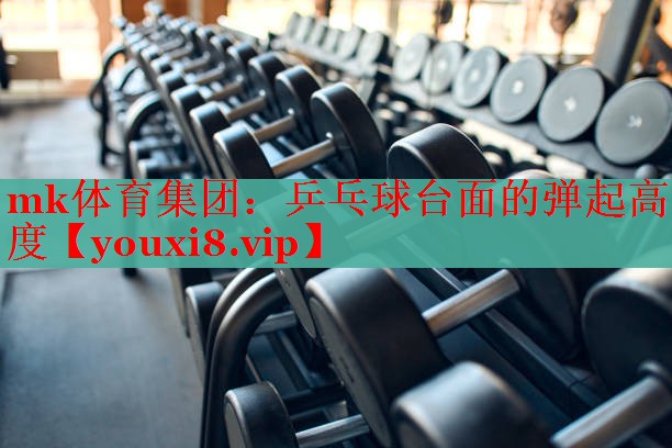 乒乓球台面的弹起高度