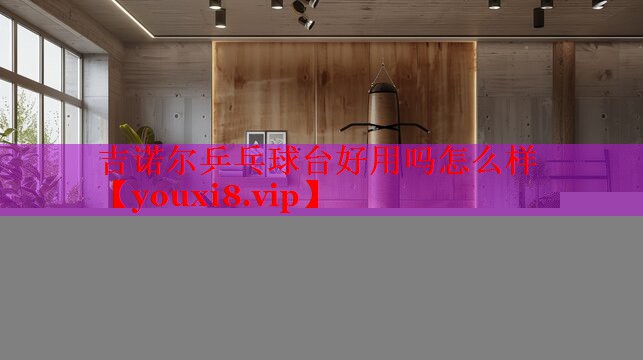 吉诺尔乒乓球台好用吗怎么样